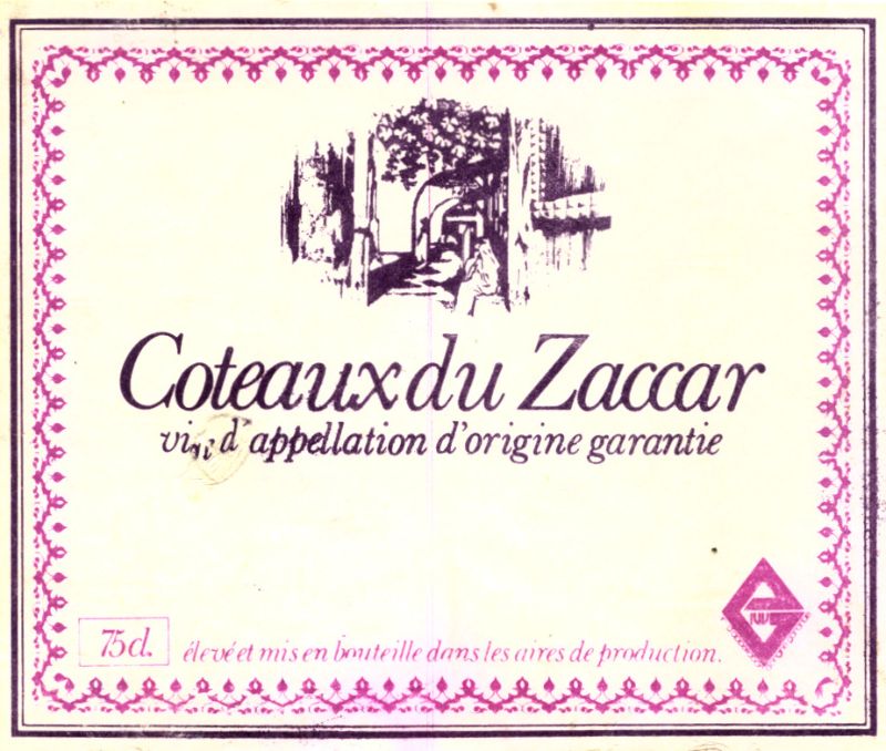 Algeriet_Coteaux du Zaccar.jpg